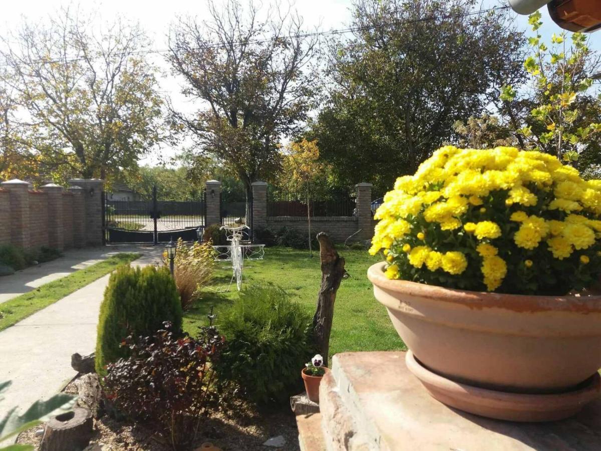 Rita Apartman & Studio Zrenjanin Buitenkant foto