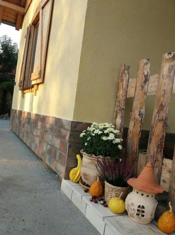 Rita Apartman & Studio Zrenjanin Buitenkant foto