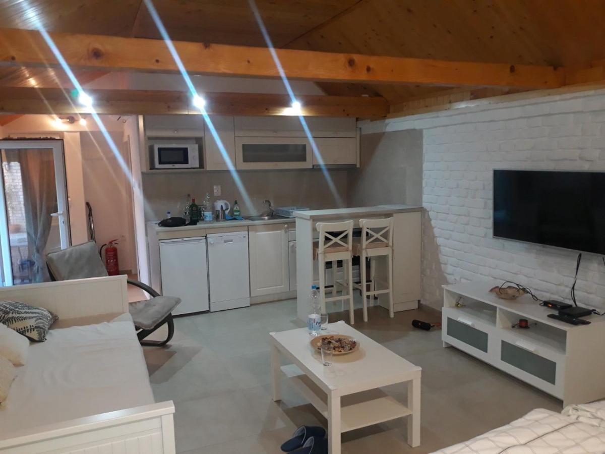 Rita Apartman & Studio Zrenjanin Buitenkant foto