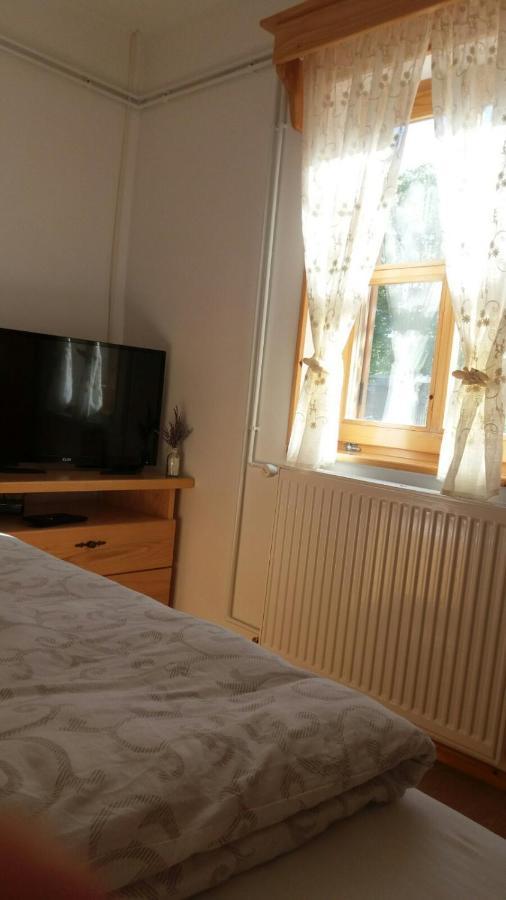 Rita Apartman & Studio Zrenjanin Buitenkant foto