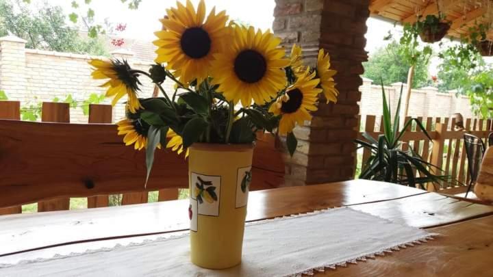 Rita Apartman & Studio Zrenjanin Buitenkant foto